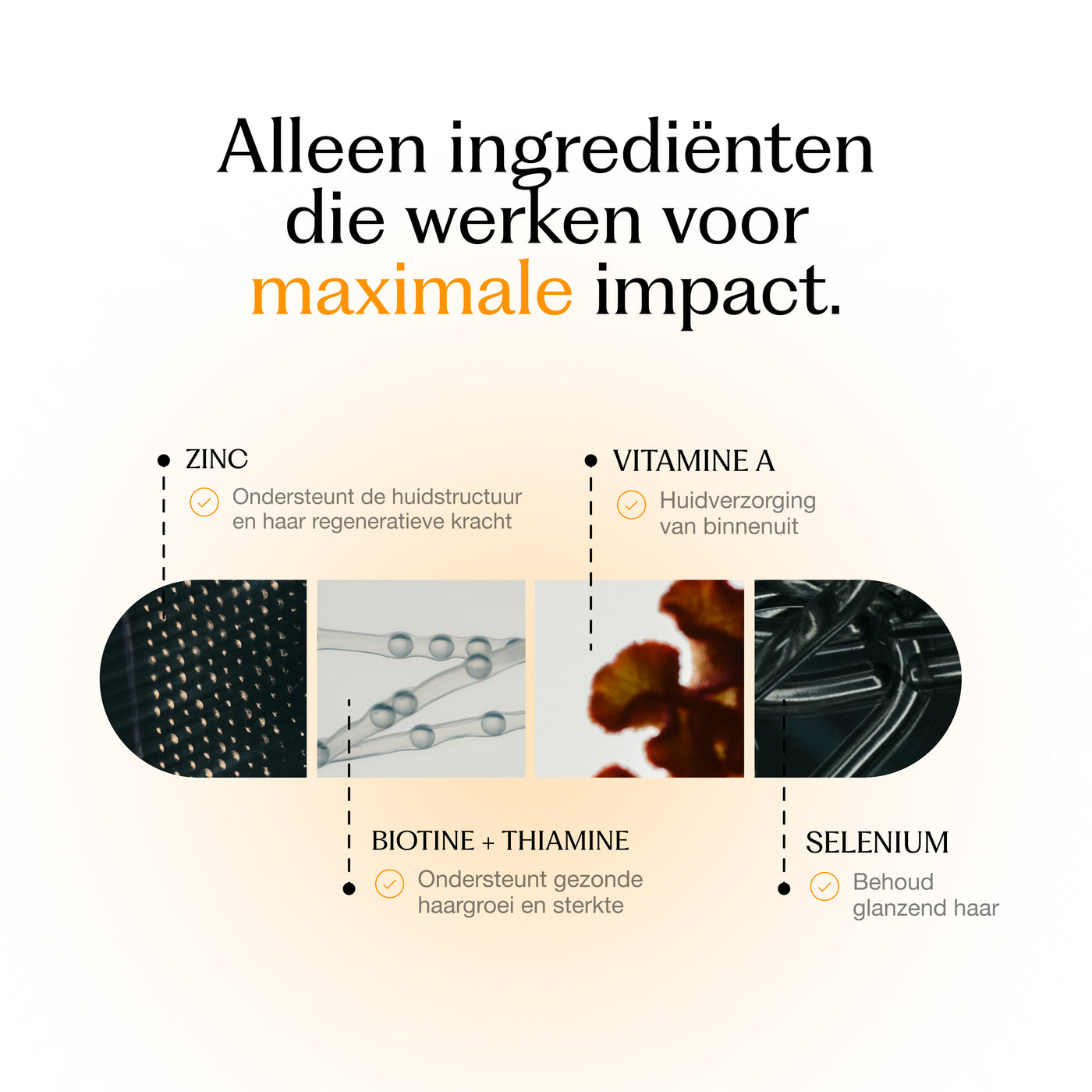Ingredients Card 6