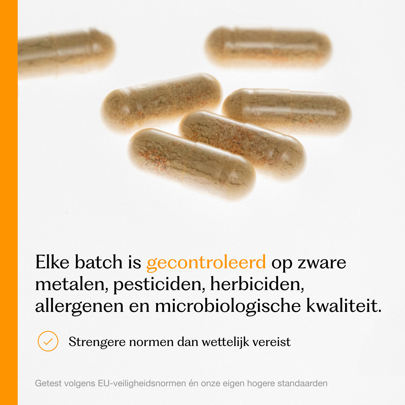 Ingredients Card 8