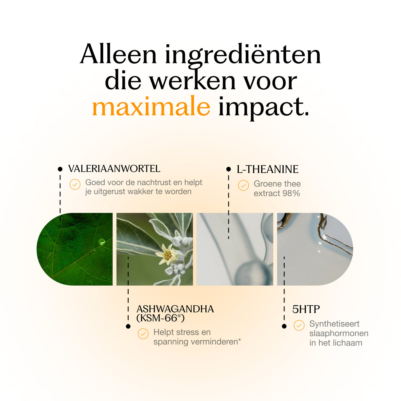 Ingredients Card 2